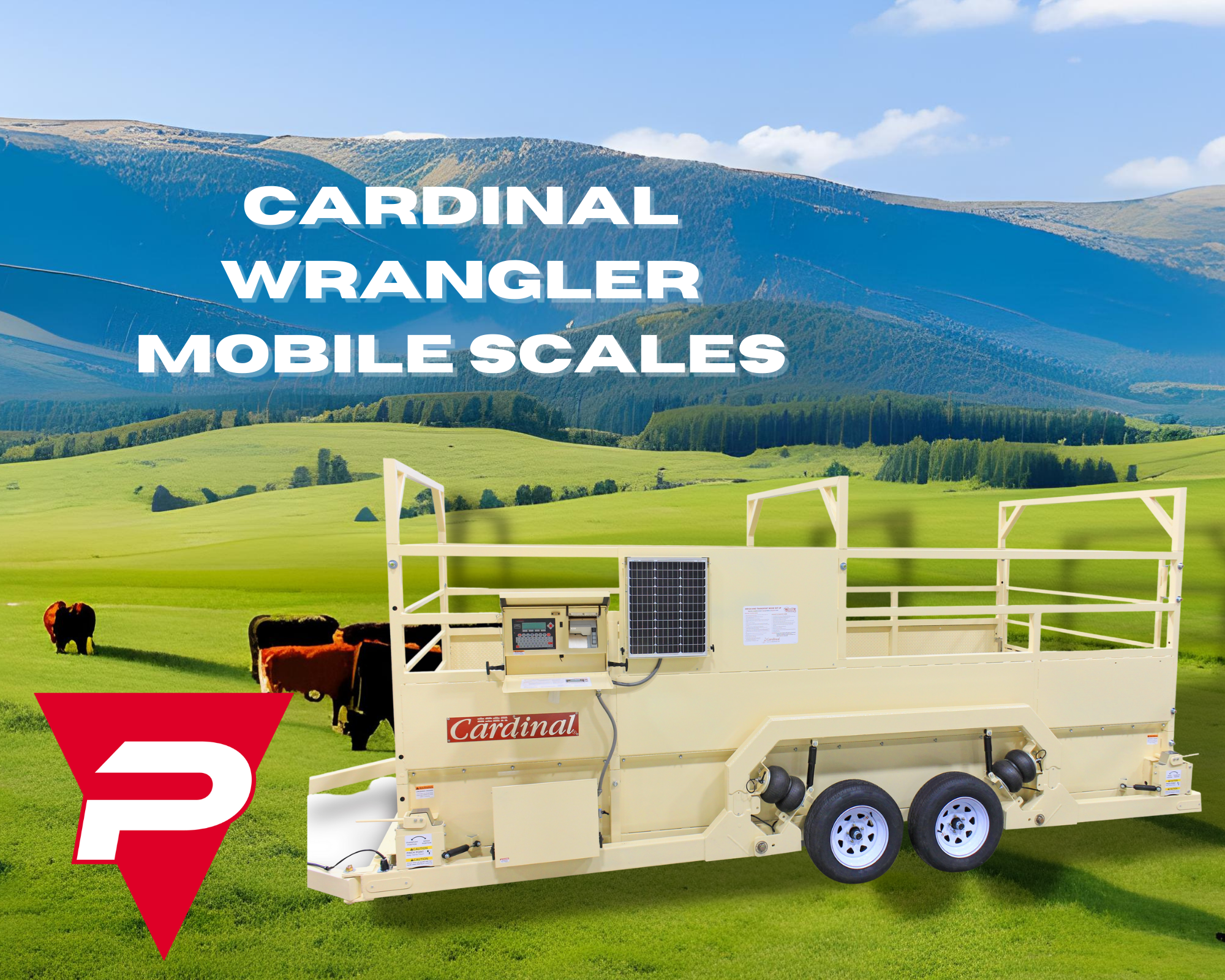 An image showing Cardinal Scale's mobile Weight Wrangler livestock scales, which are self-contained and legal-for-trade certified for use by ranchers and farmers. Available in 18-ft-long tandem axle or 13-ft-long single axle sizes, the scales can weigh groups of cattle up to 15-20 head at a time, with a maximum capacity of 20,000 lbs.